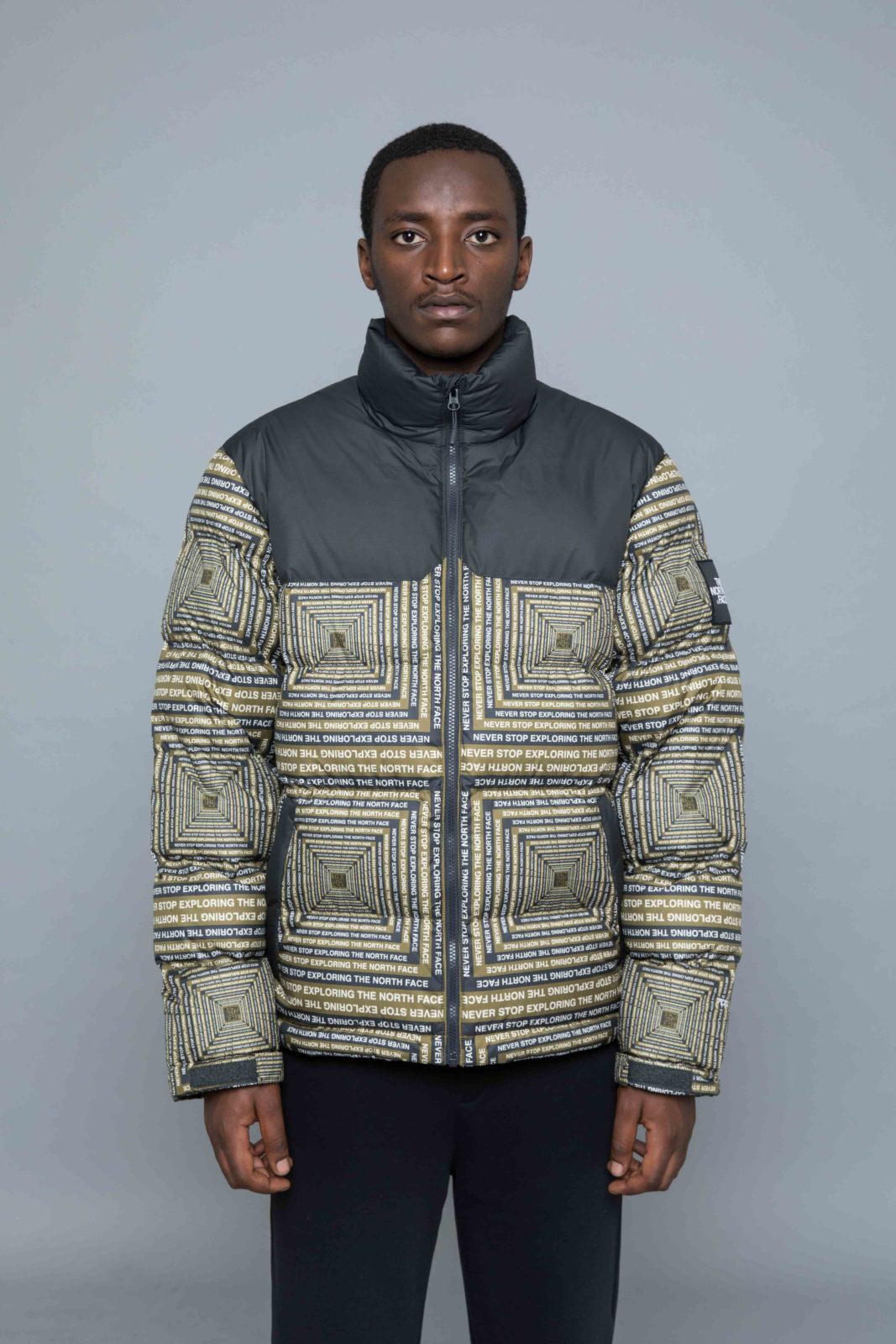 the north face ic nuptse jacket vaporous grey dot print