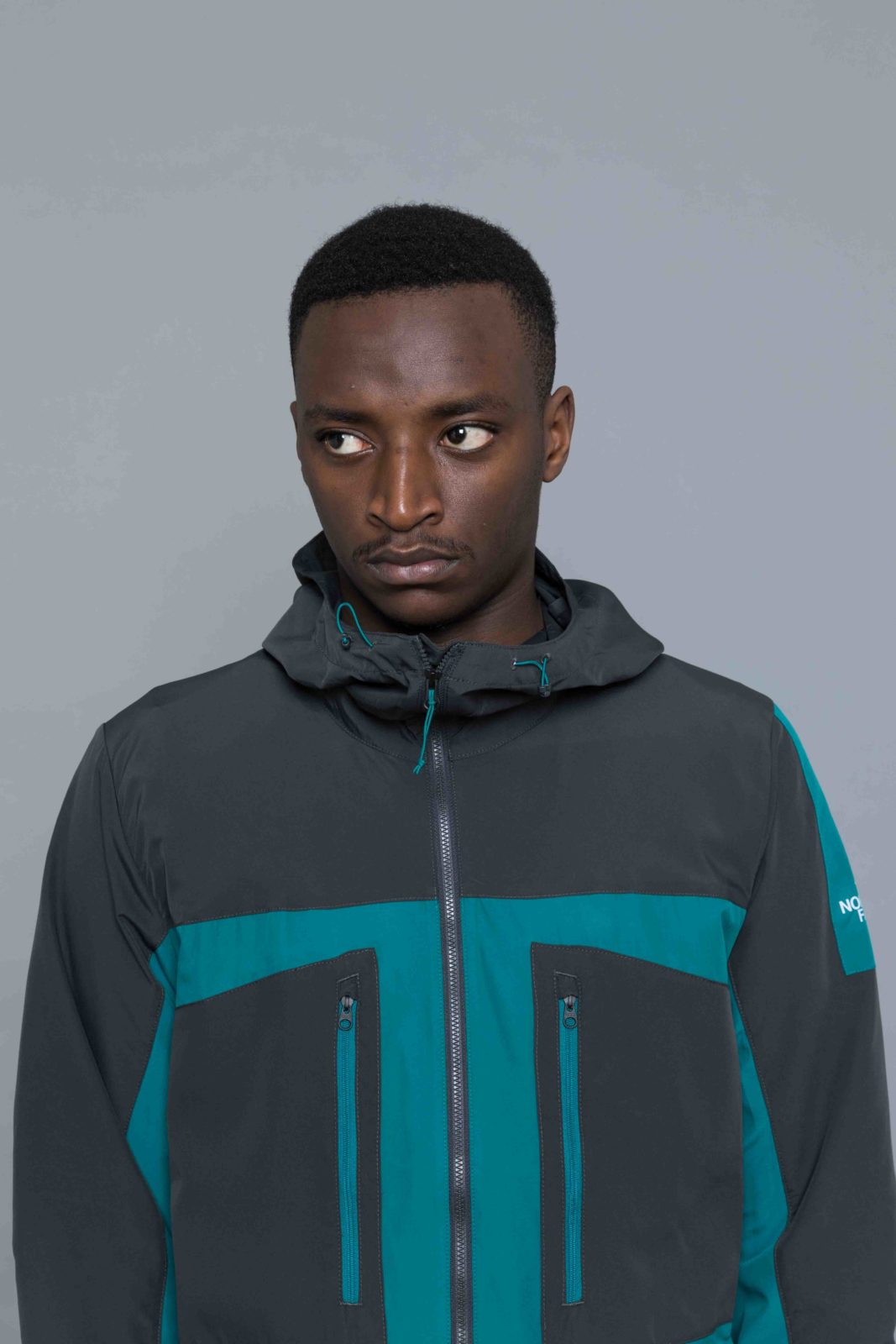 the north face fantasy ridge light jacket