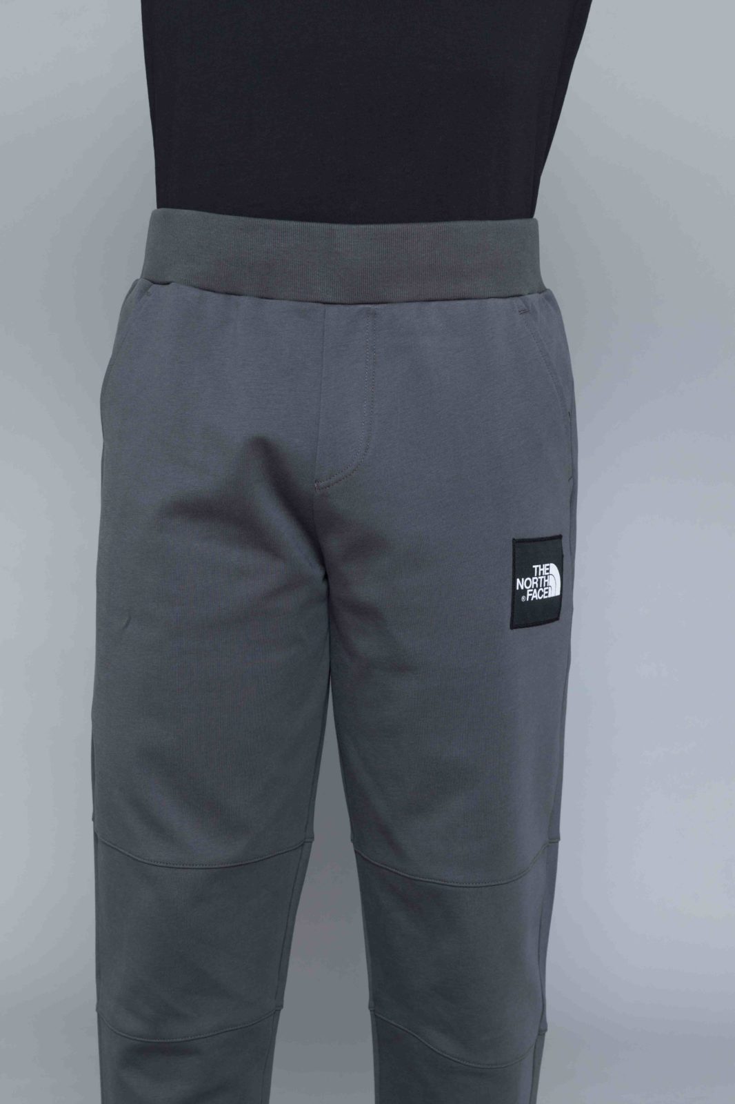 the north face fine pant