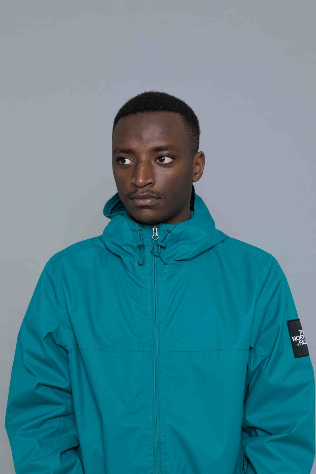 the north face mountain q jacket everglade