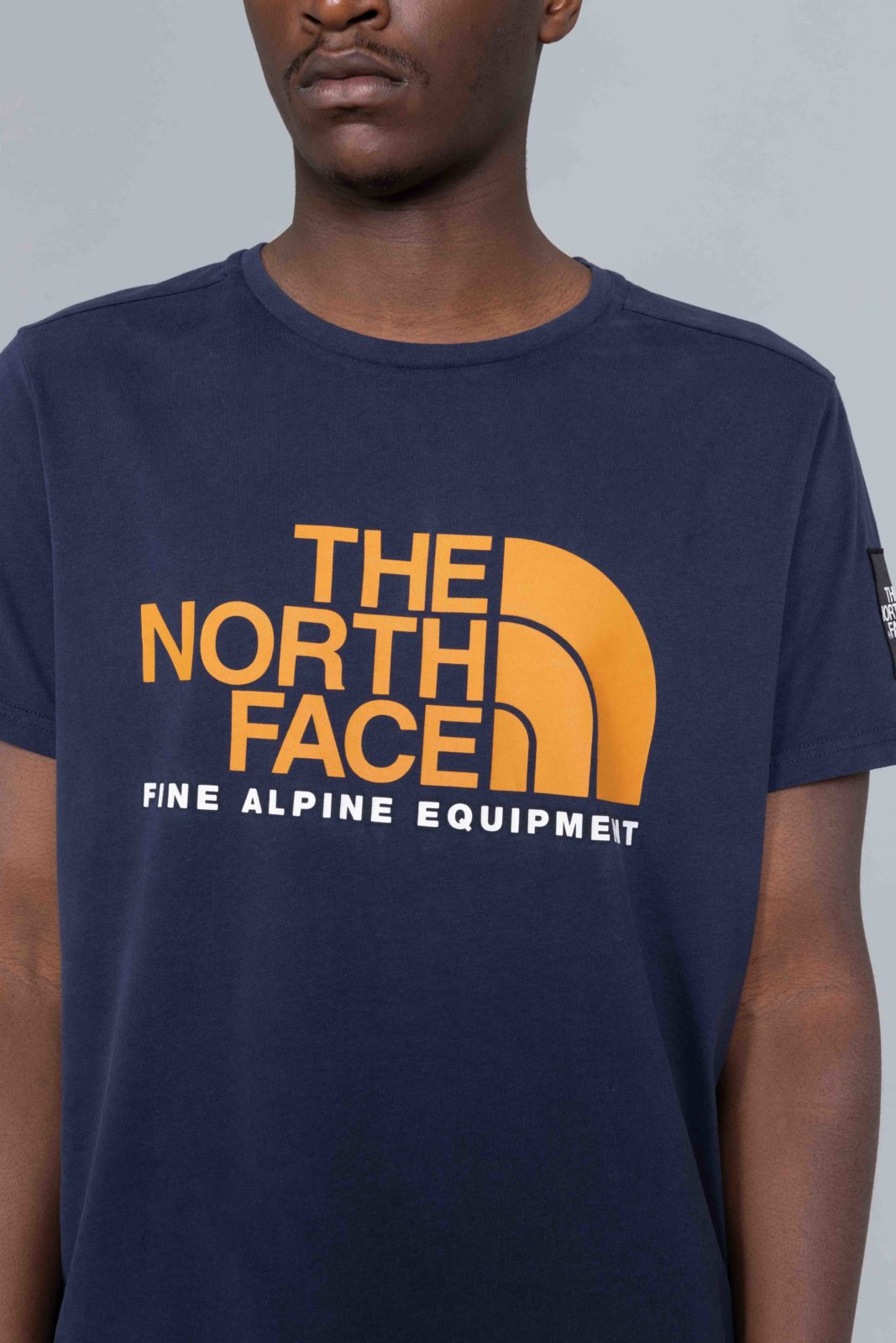 north face alpine t shirt