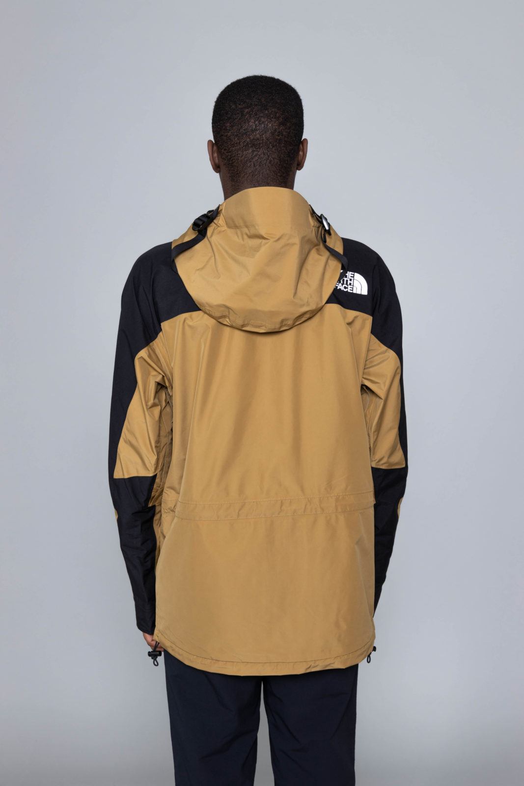 the north face mountain light jacket 2019
