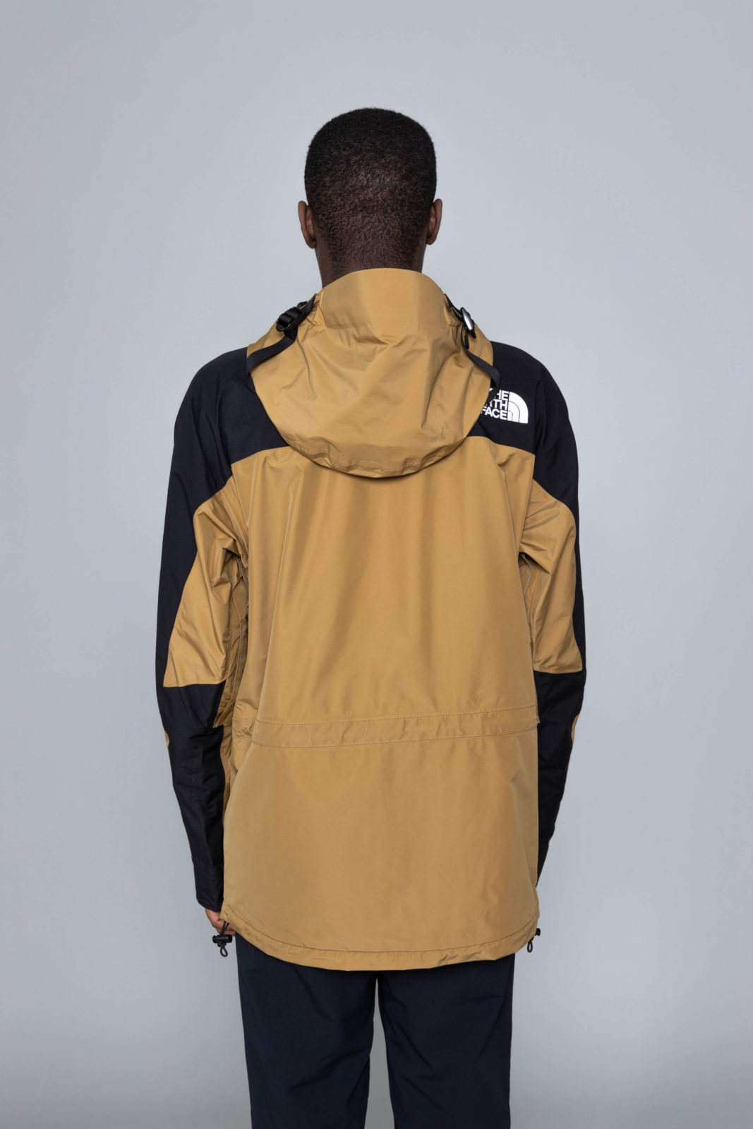 north face mountain light 2019