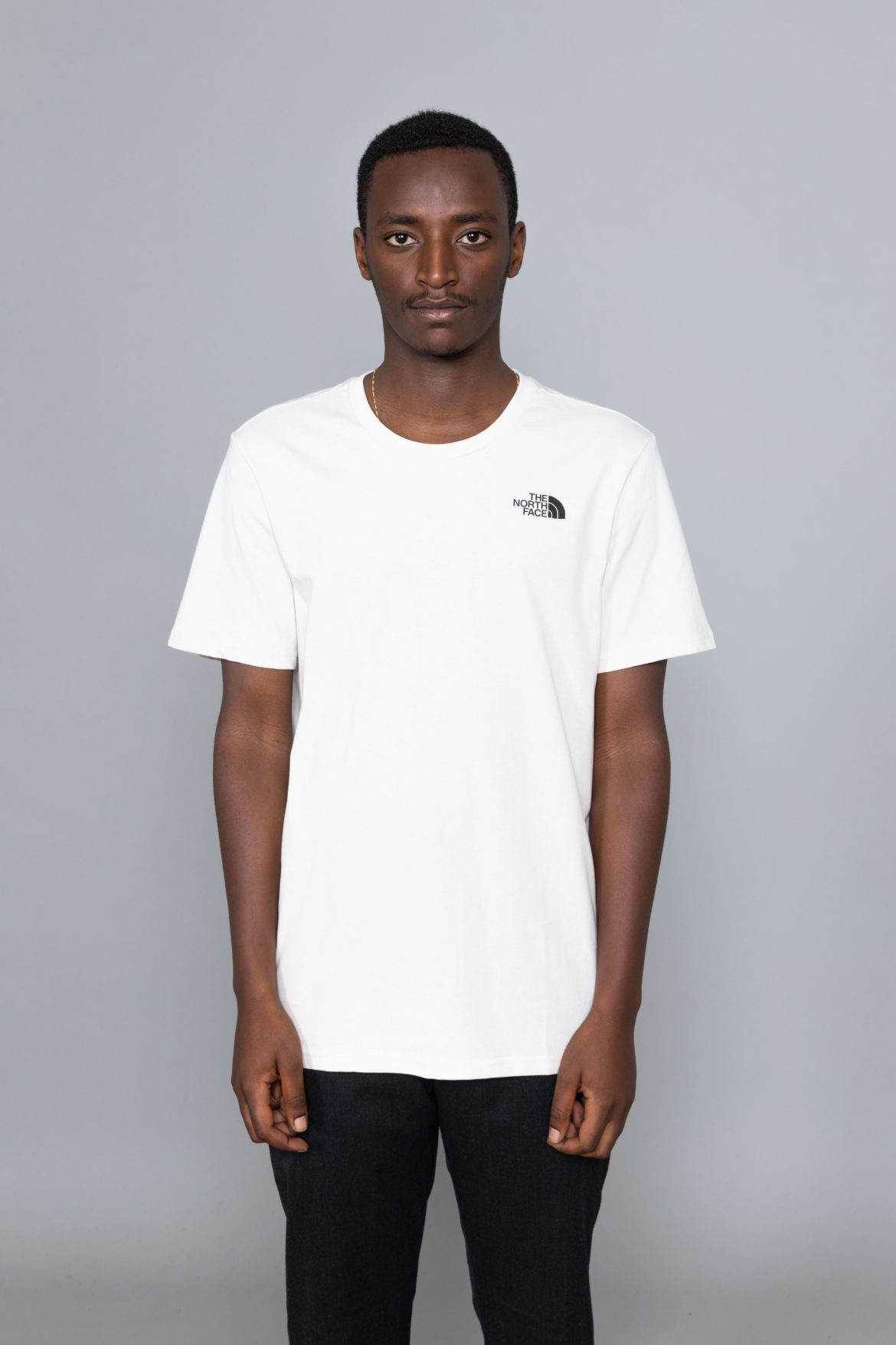 the north face yosemite t shirt