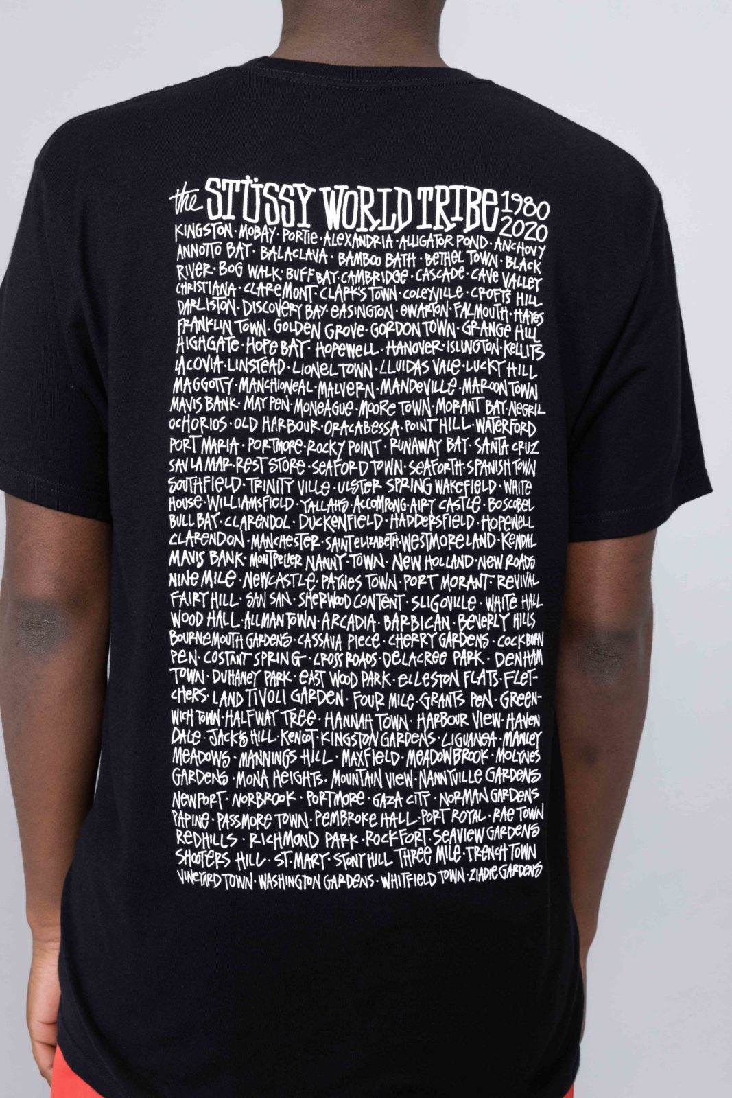 stussy jamaica t shirt