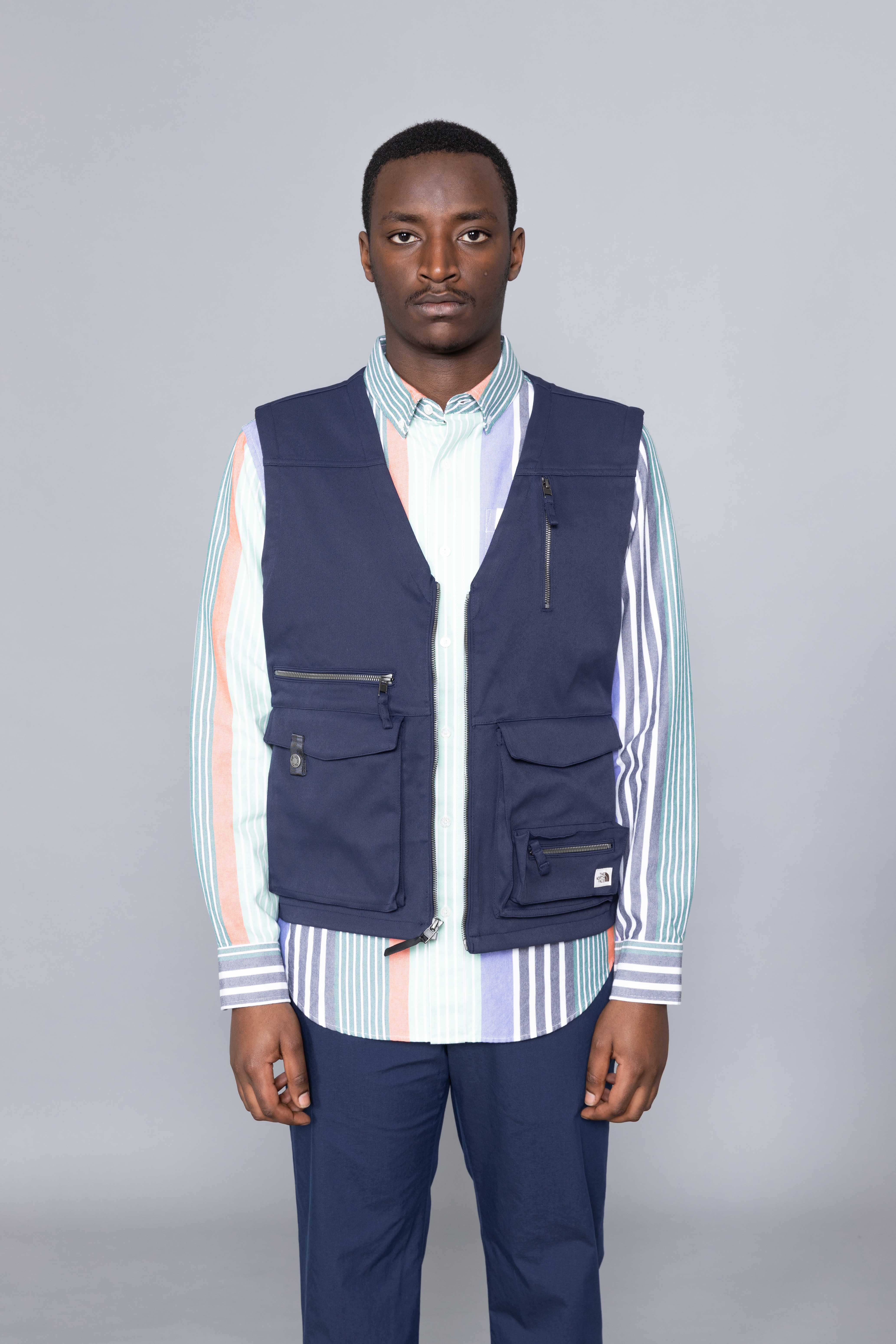 the north face wild vest