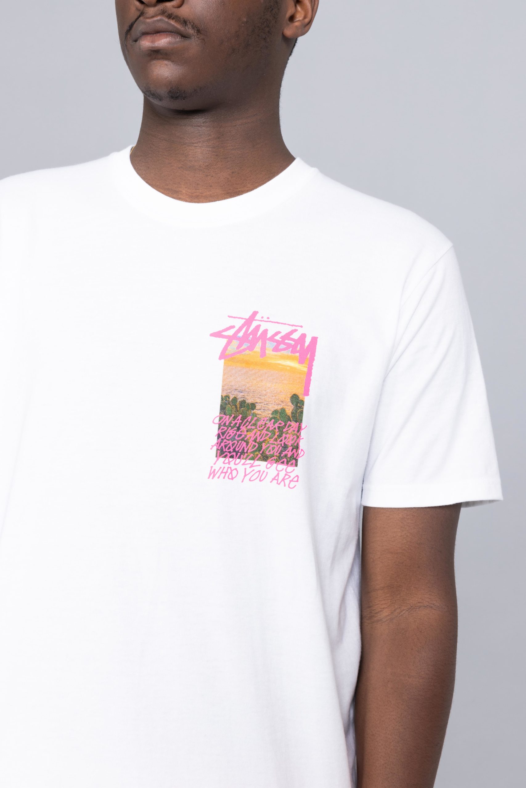 clear day tee stussy