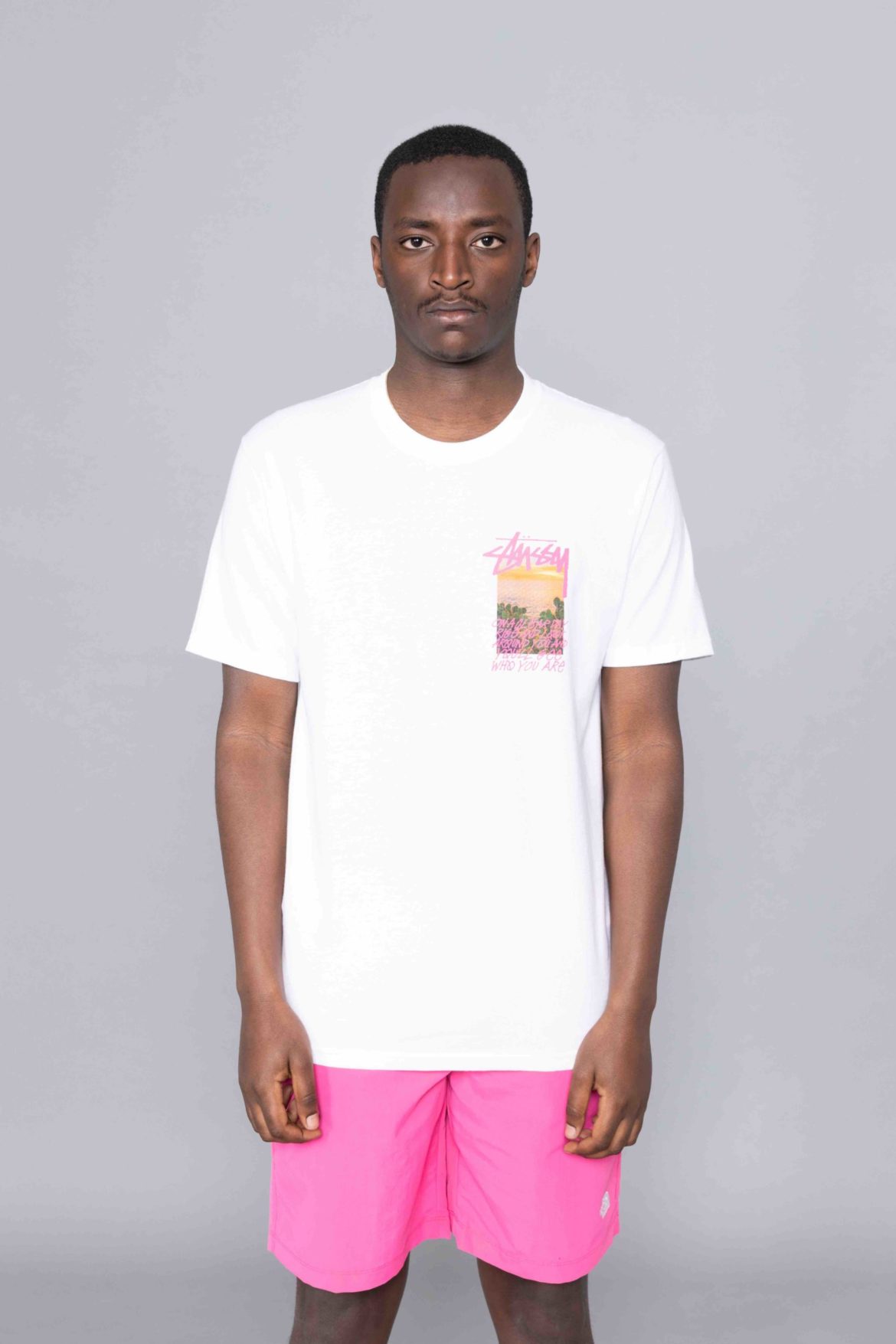 stussy clear day
