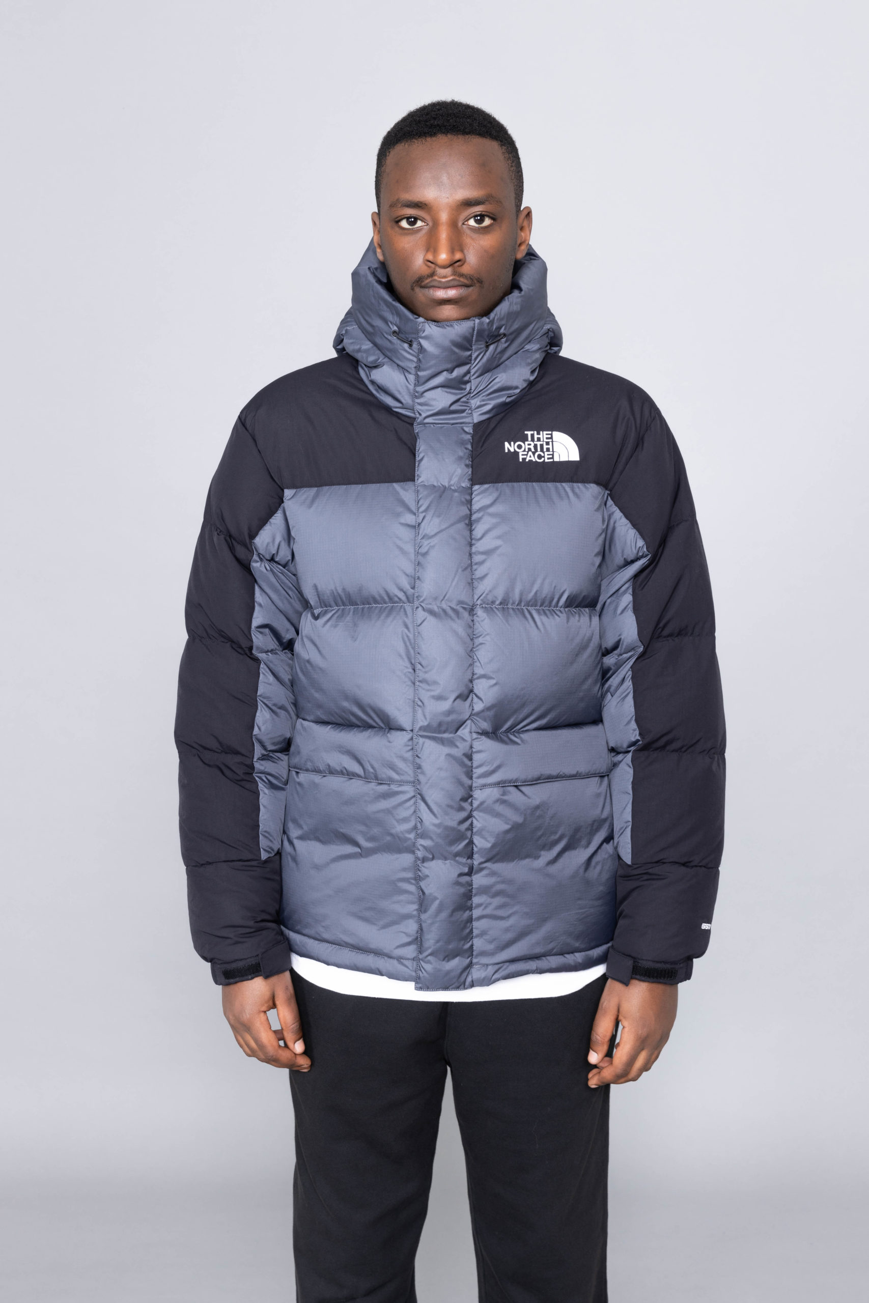 The North Face Himalayan 550 Down Jacket In Blue Lyst | lupon.gov.ph