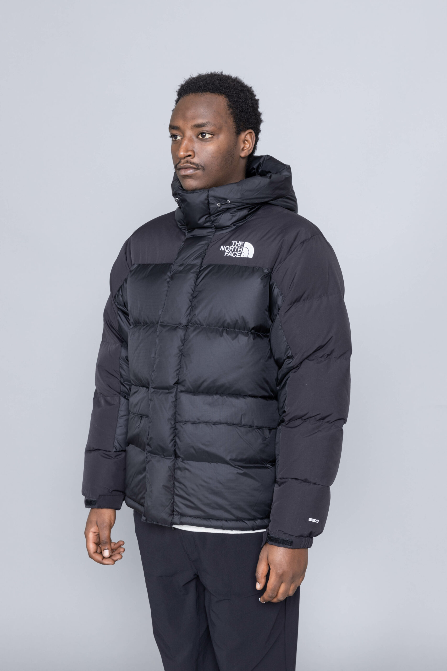 north face black down parka