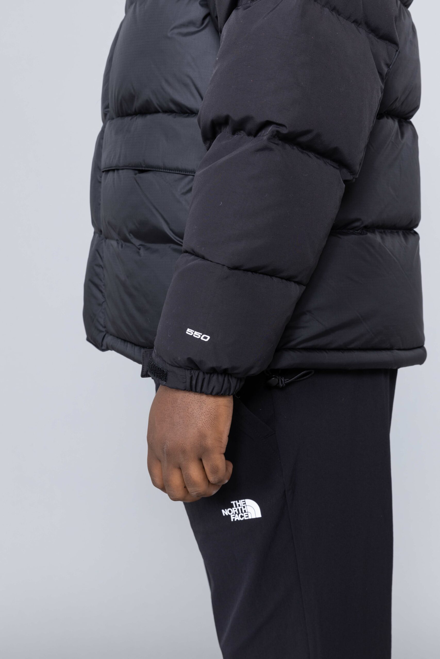 north face himalayan 700