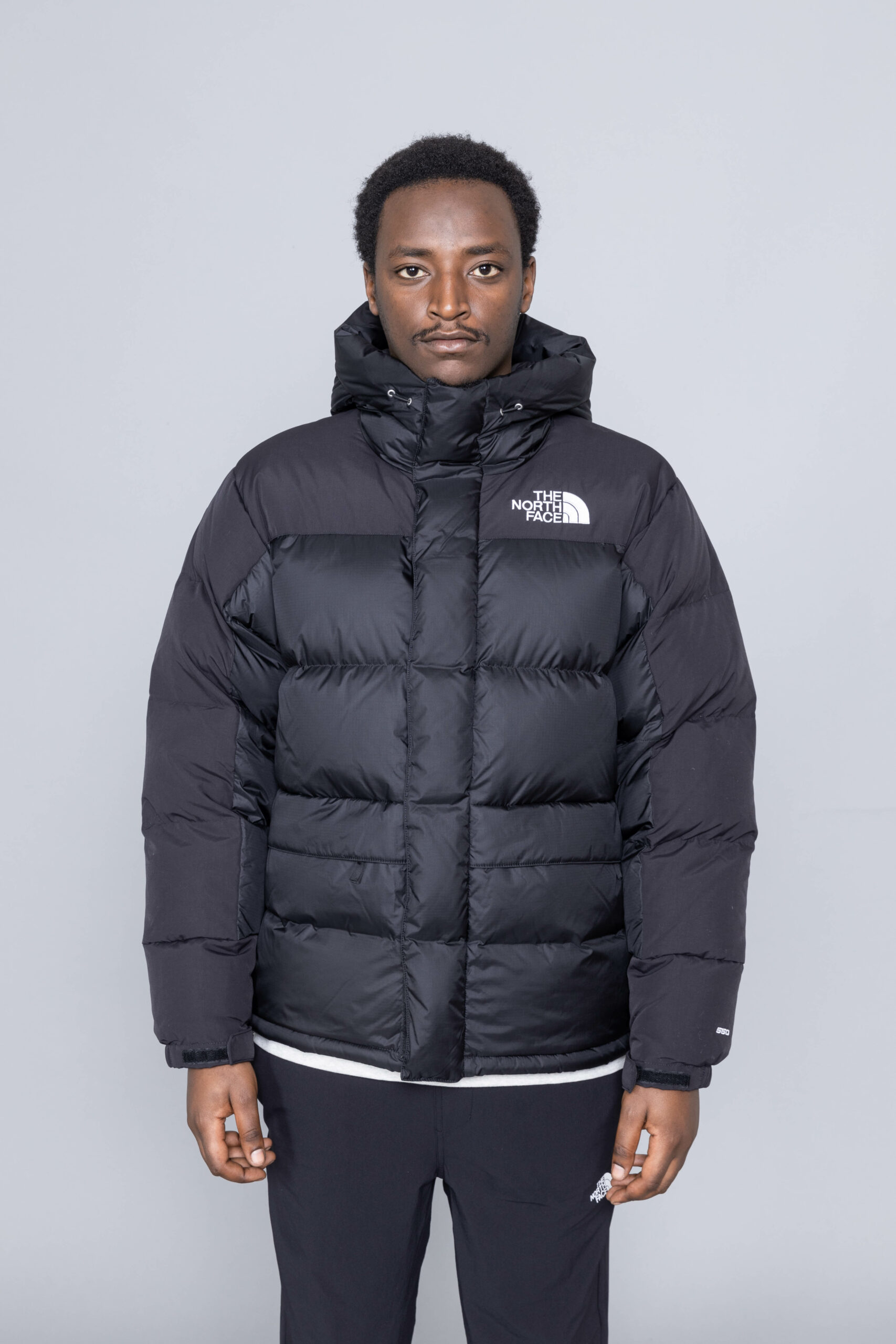 north face himalayan down parka