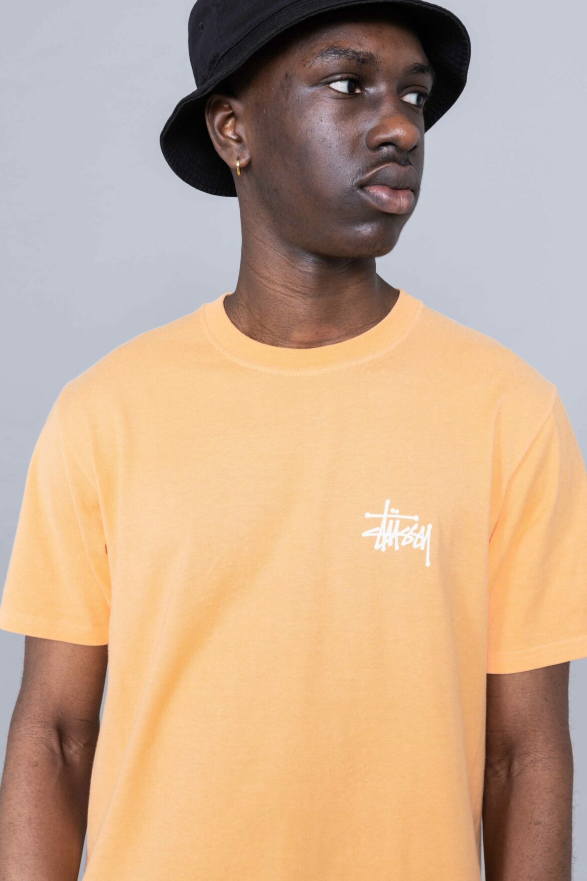 stussy basic tee
