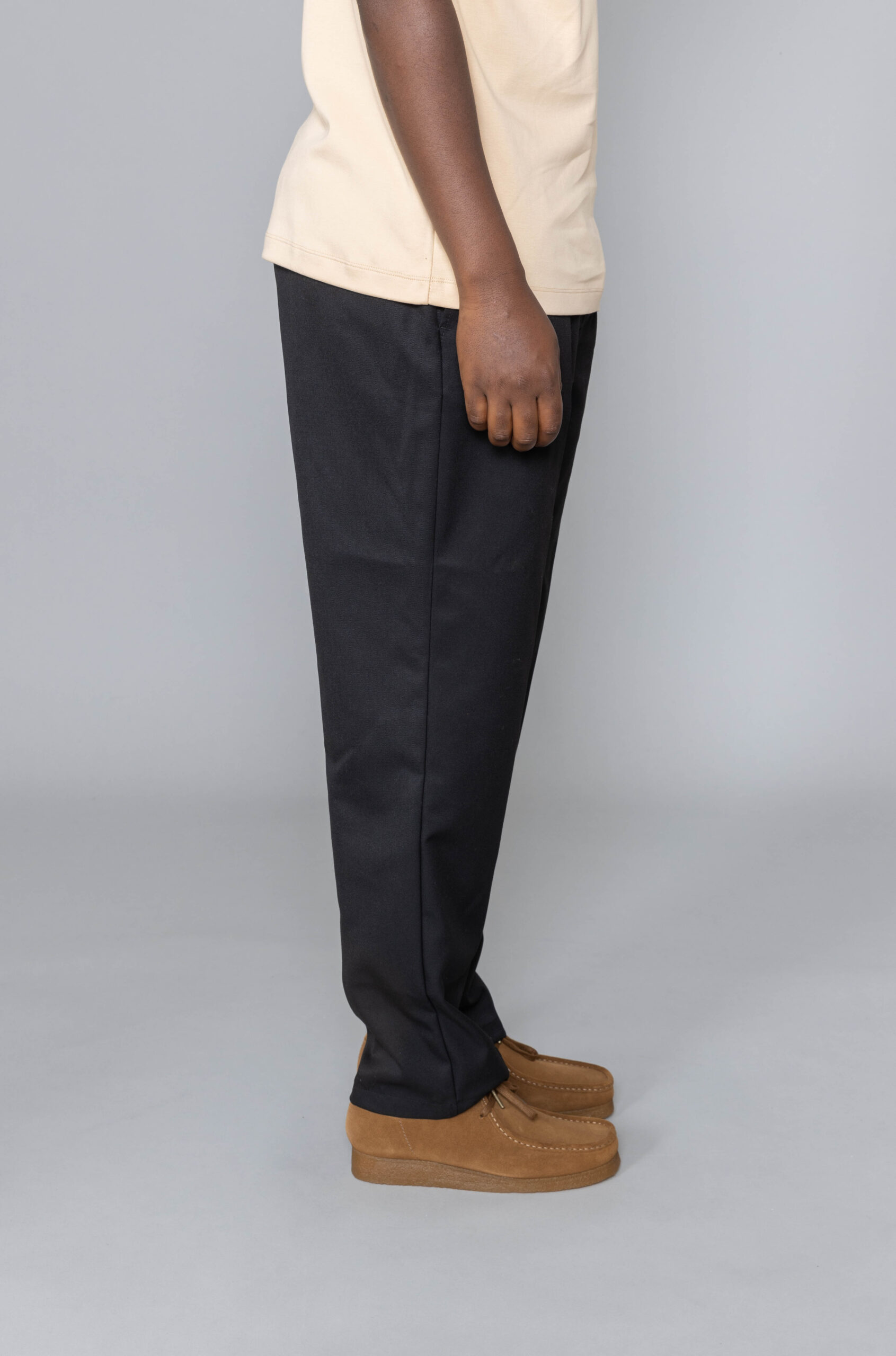 Stussy Bryan Pant men store 