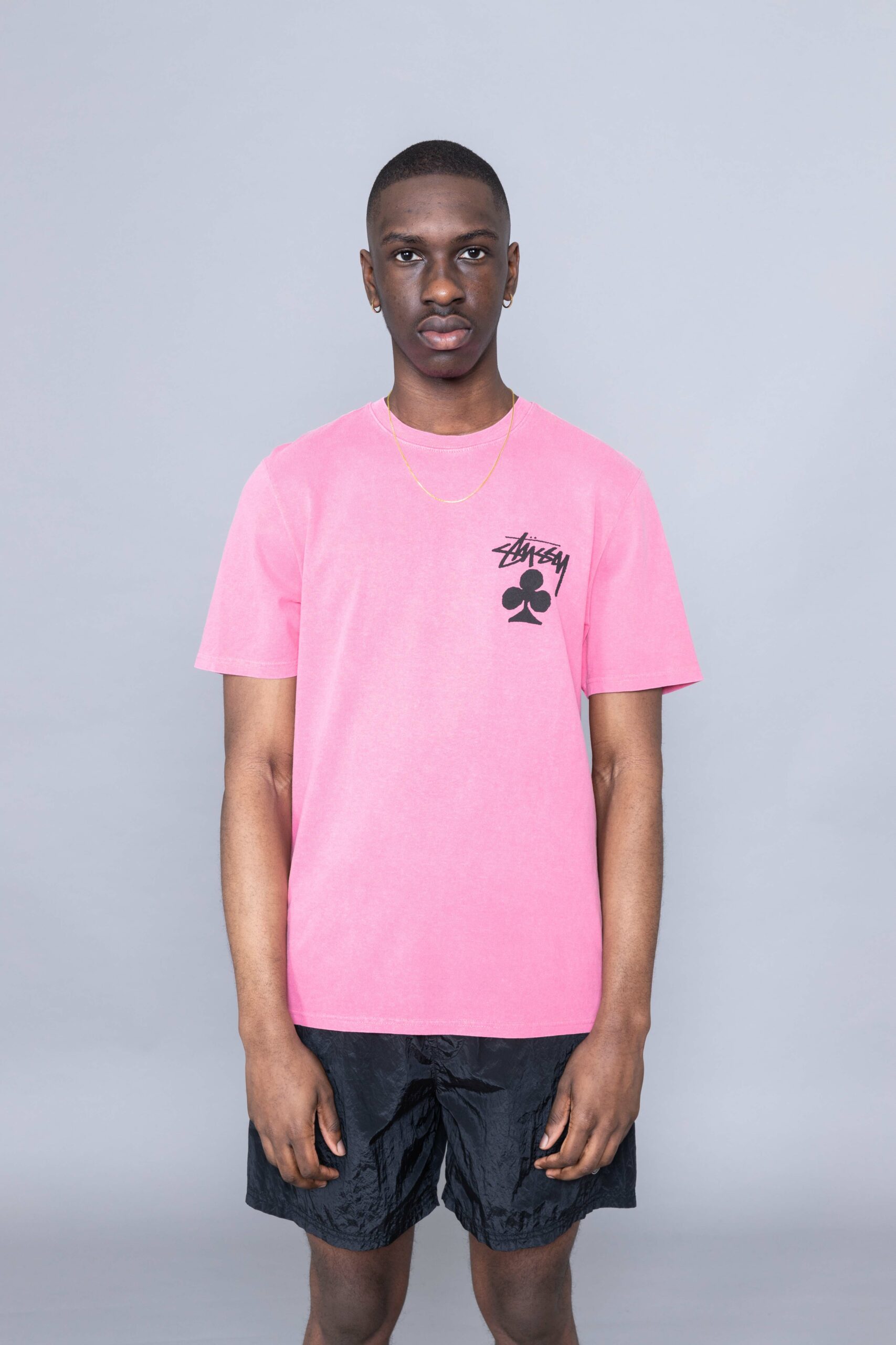 stussy pig dyed tee