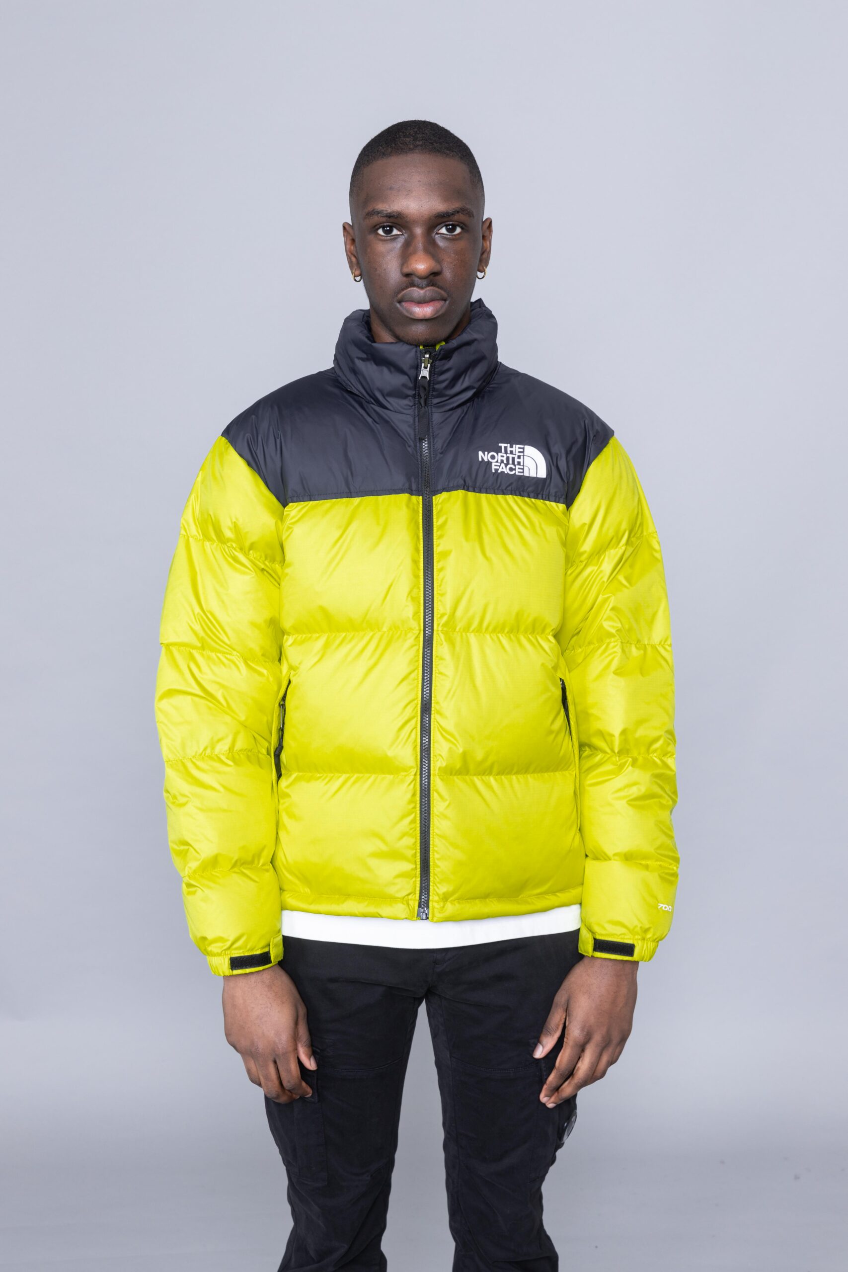 the north face puffer