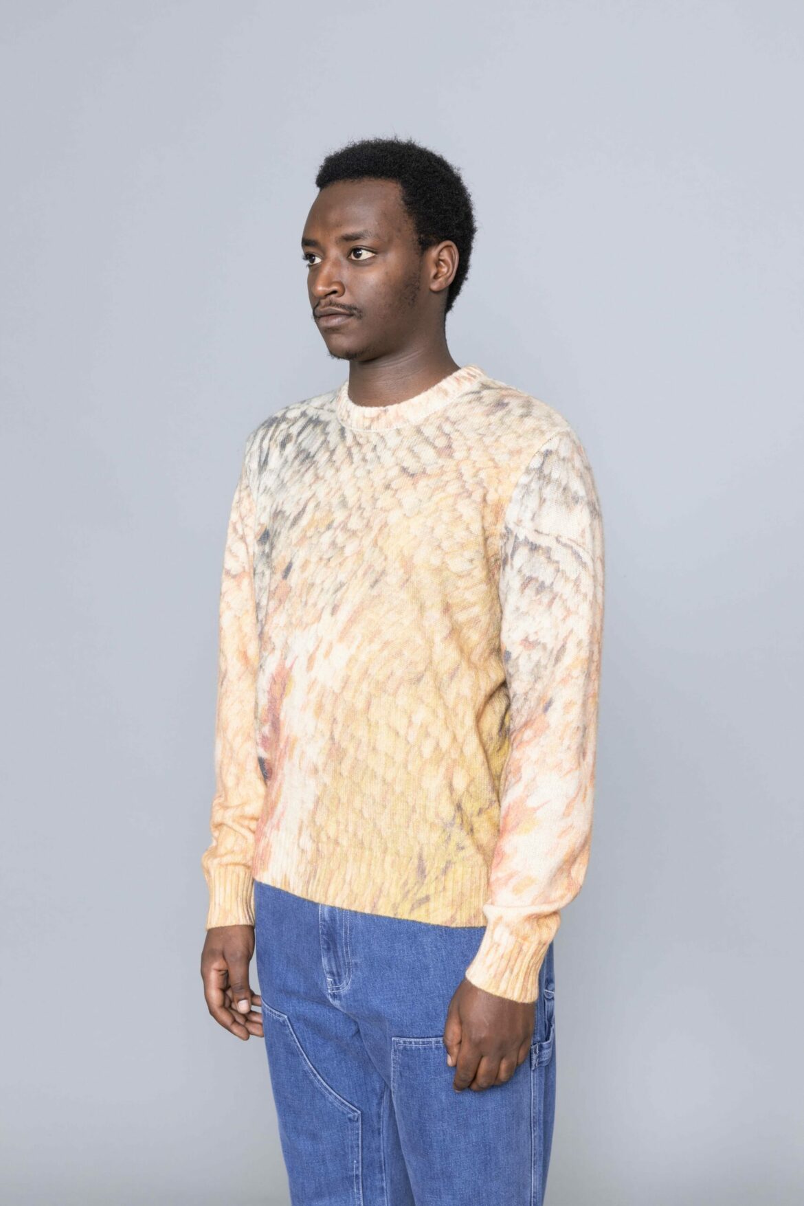 Stussy Wings Print Sweater Multi sweat - Centrevillestore