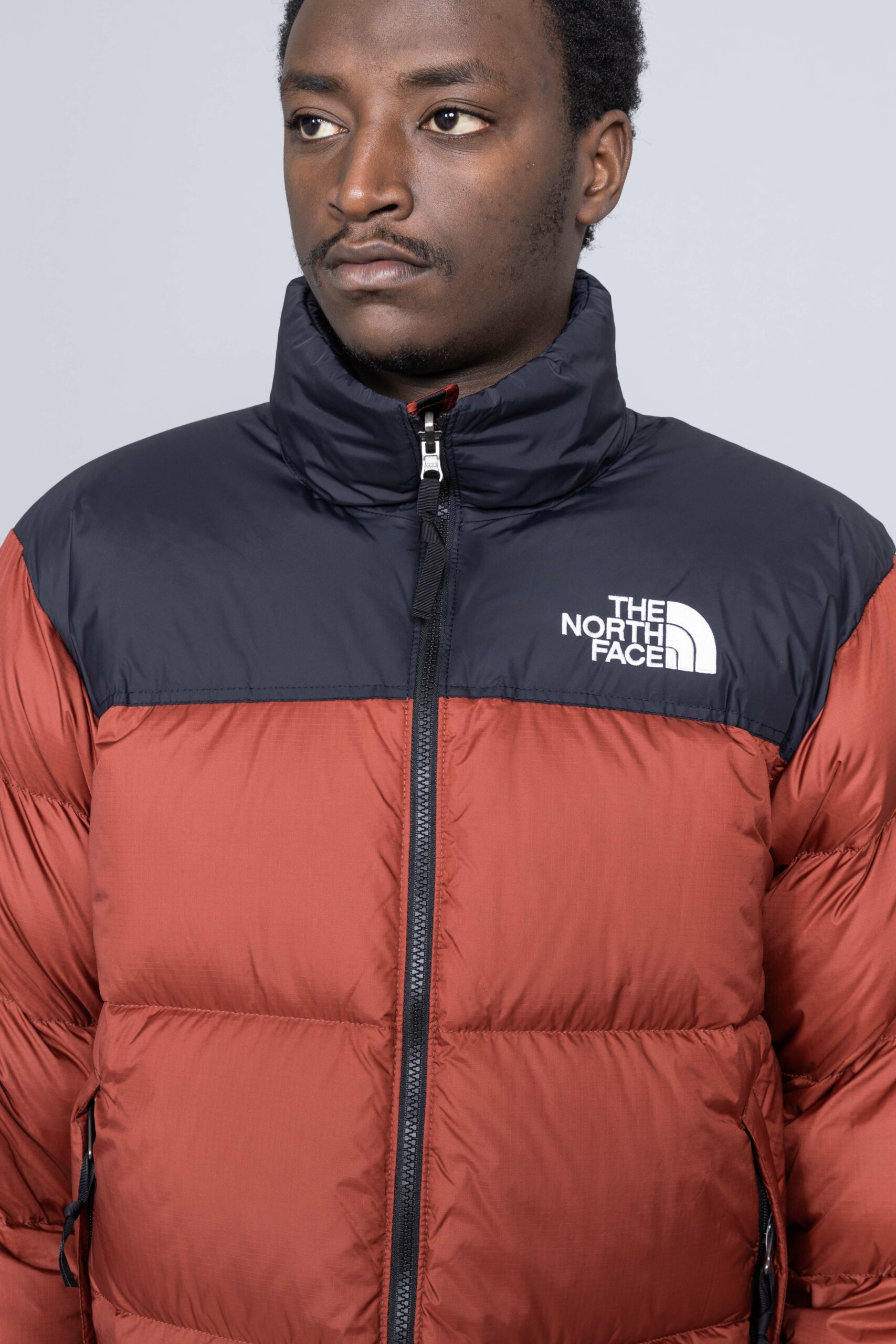 novelty nuptse jacket