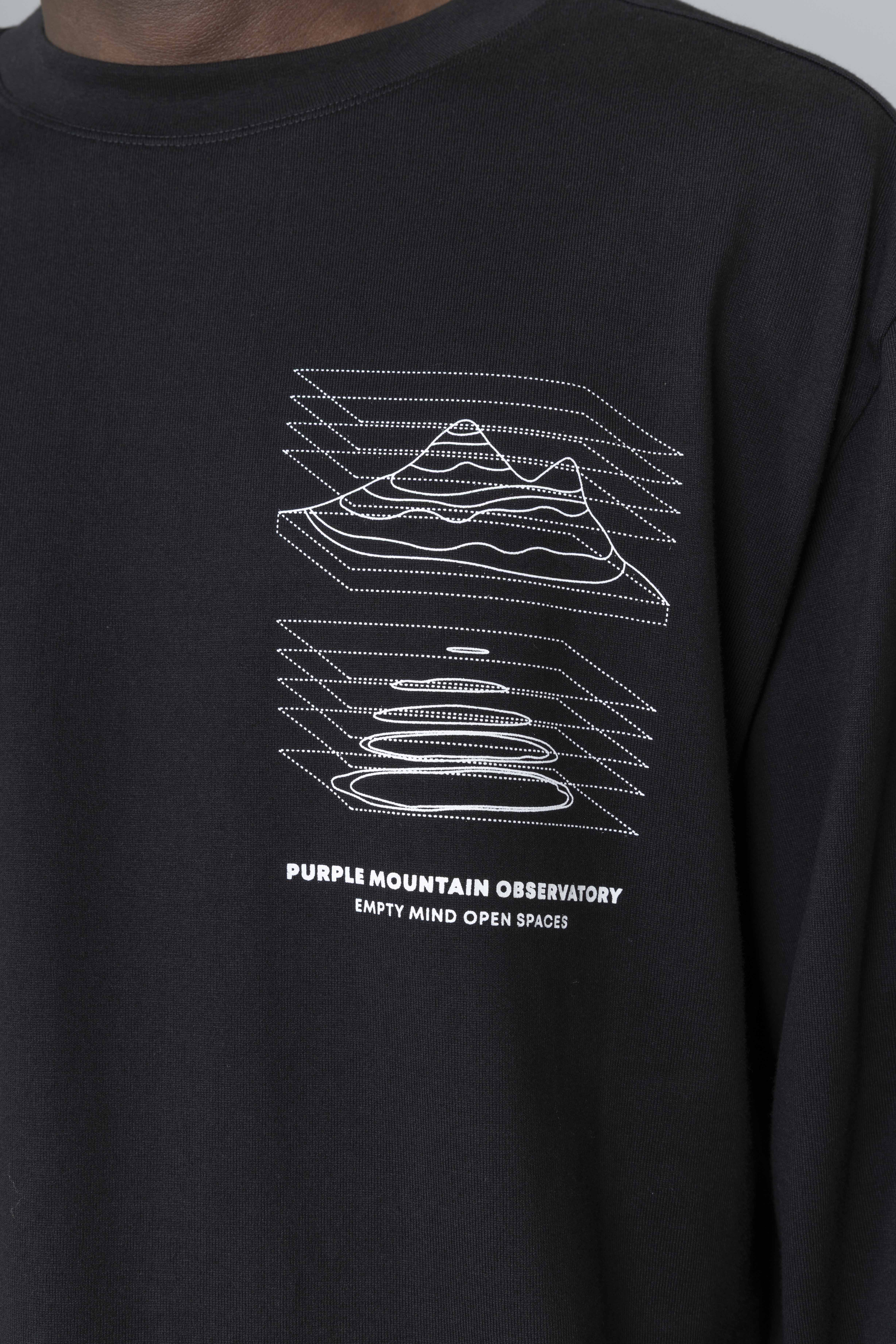 PurpleMoutainObservatoryMapProjectionsLSTeeBlackLogo